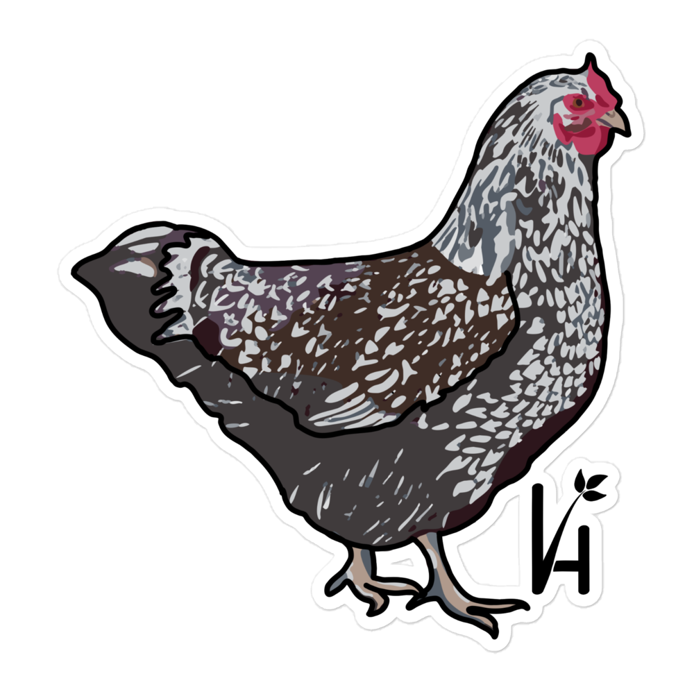 Wyandotte Chicken Bubble-Free Sticker