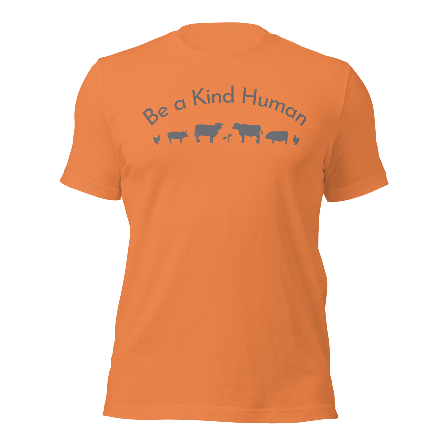 Be a Kind Human Burnt Orange Grey Silhouette