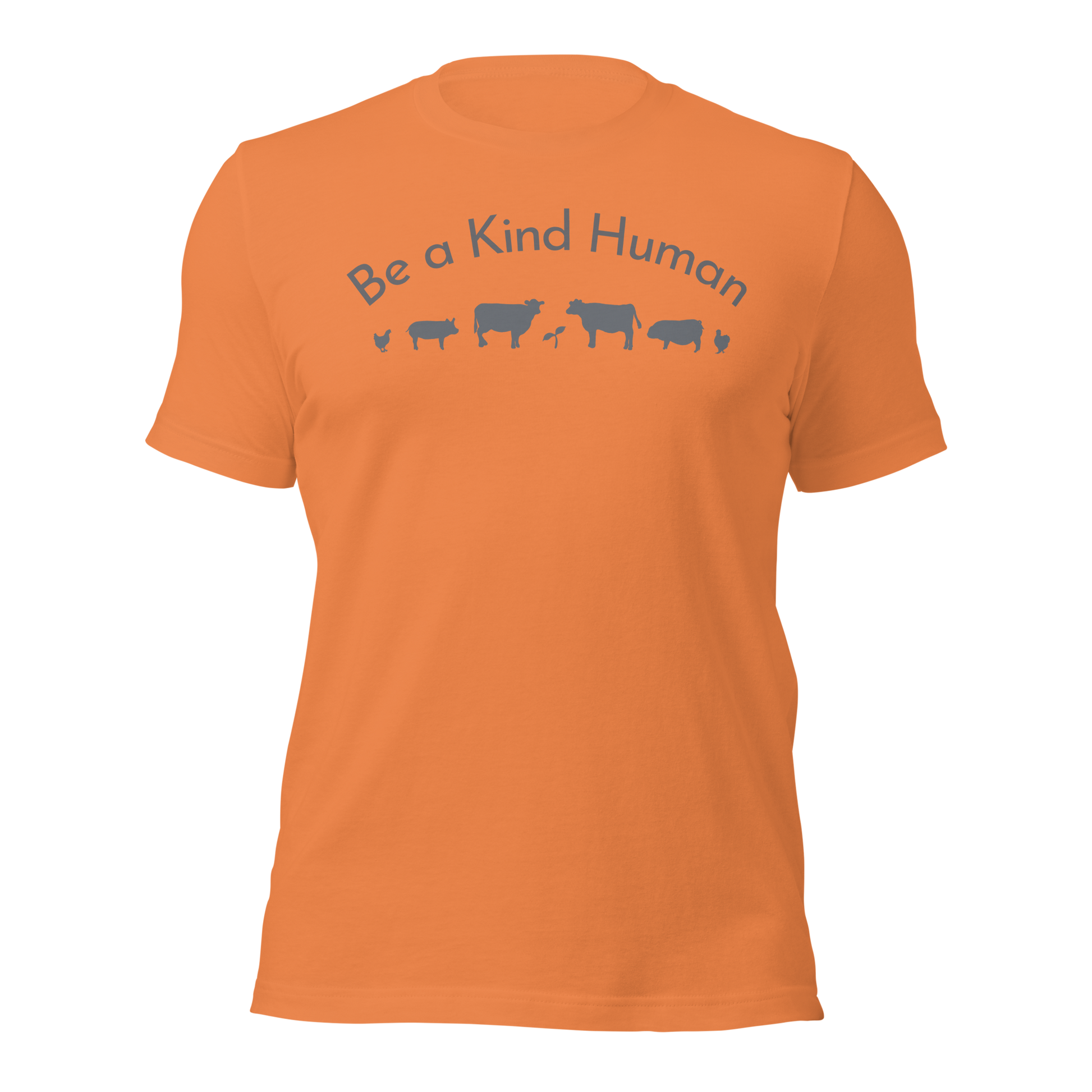 Be a Kind Human Burnt Orange Grey Silhouette