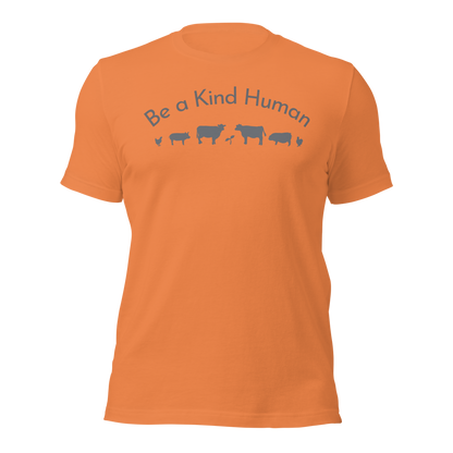 Be a Kind Human Burnt Orange Grey Silhouette