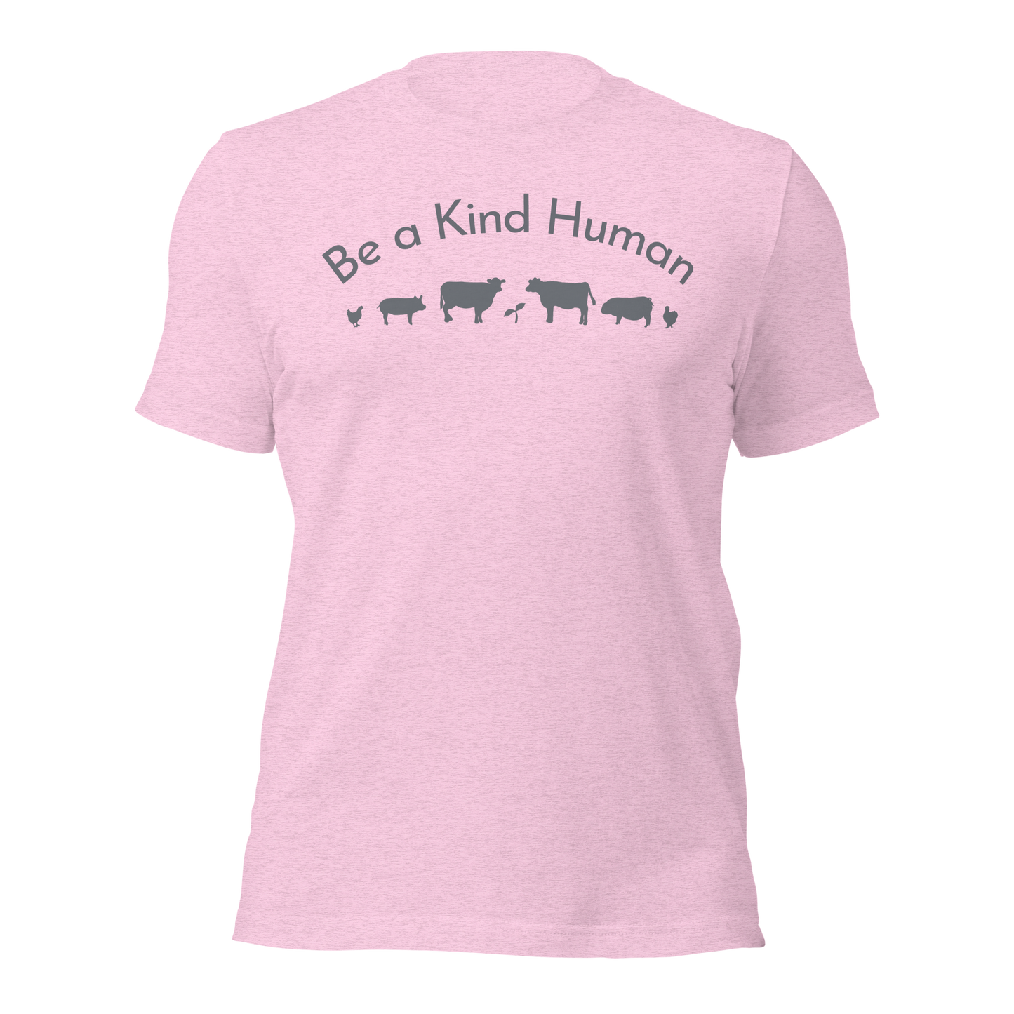 Be a Kind Human Pink Grey Silhouette