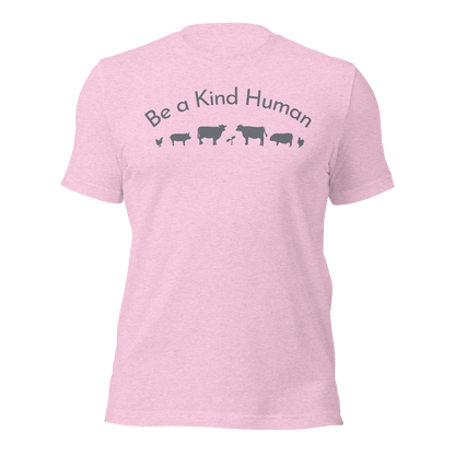 Be a Kind Human Pink Grey Silhouette