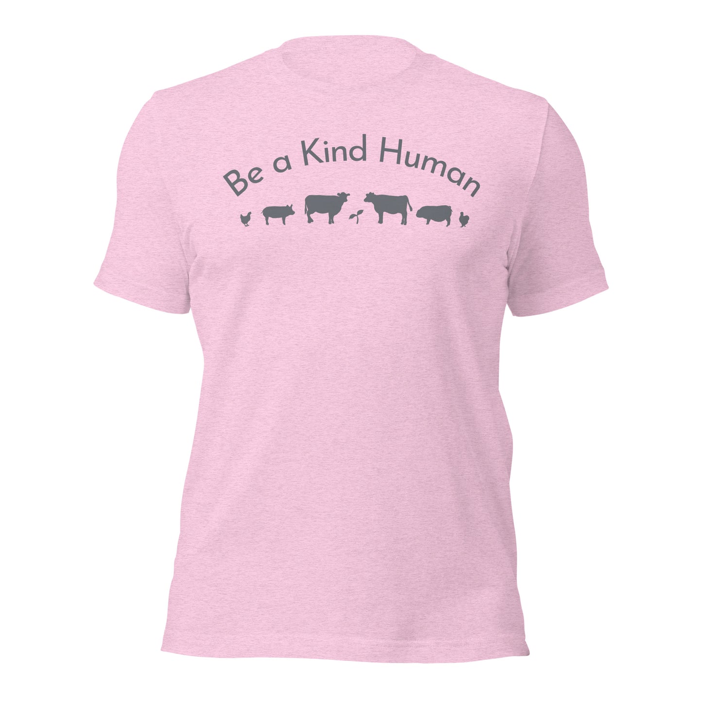 Be a Kind Human (Grey Silhouette) Unisex t-shirt