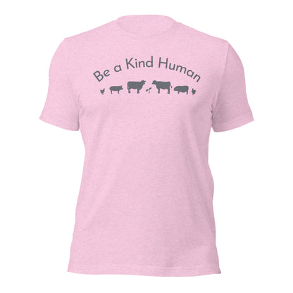 Be a Kind Human (Grey Silhouette) Unisex t-shirt