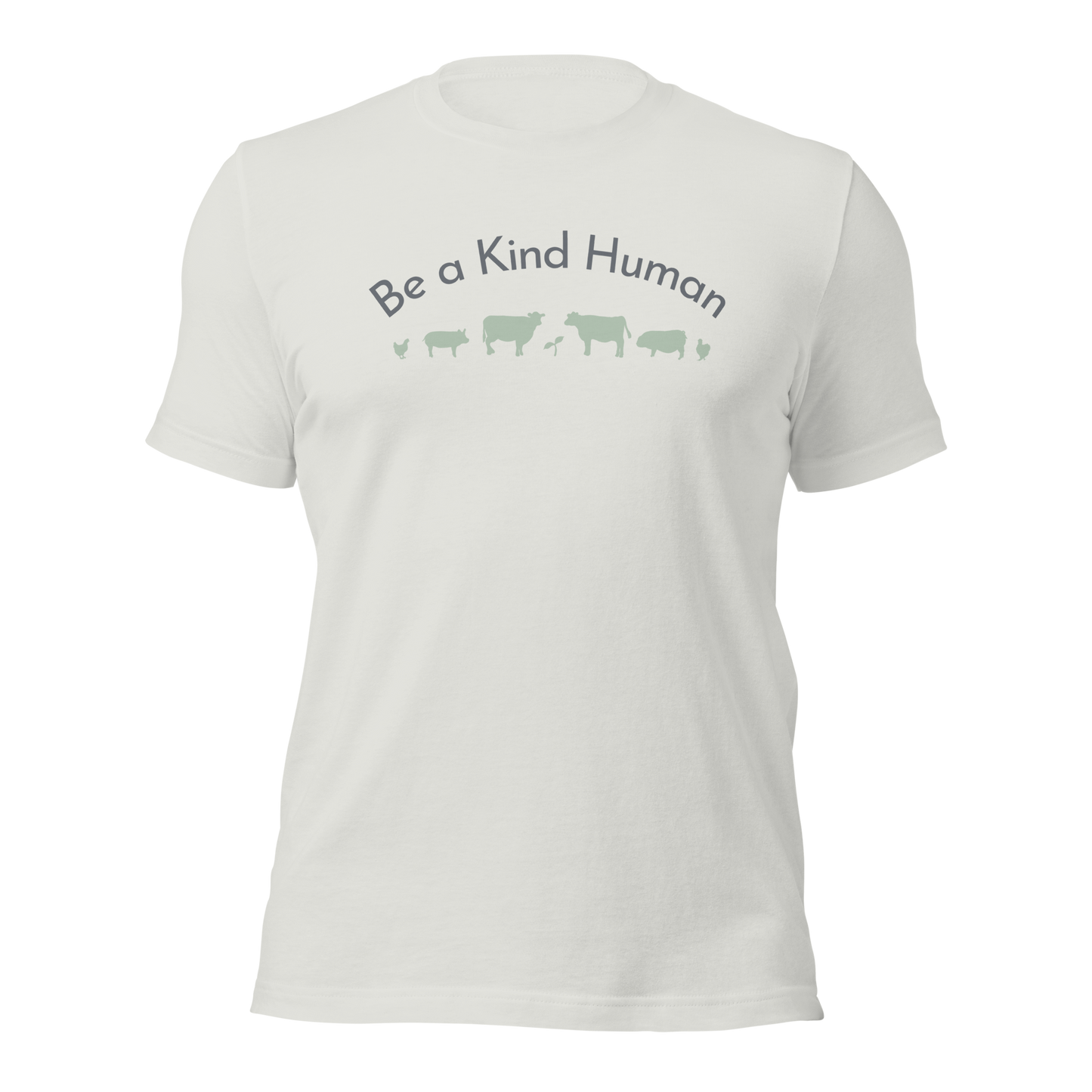 Be a Kind Human Silver w Green Silhouette