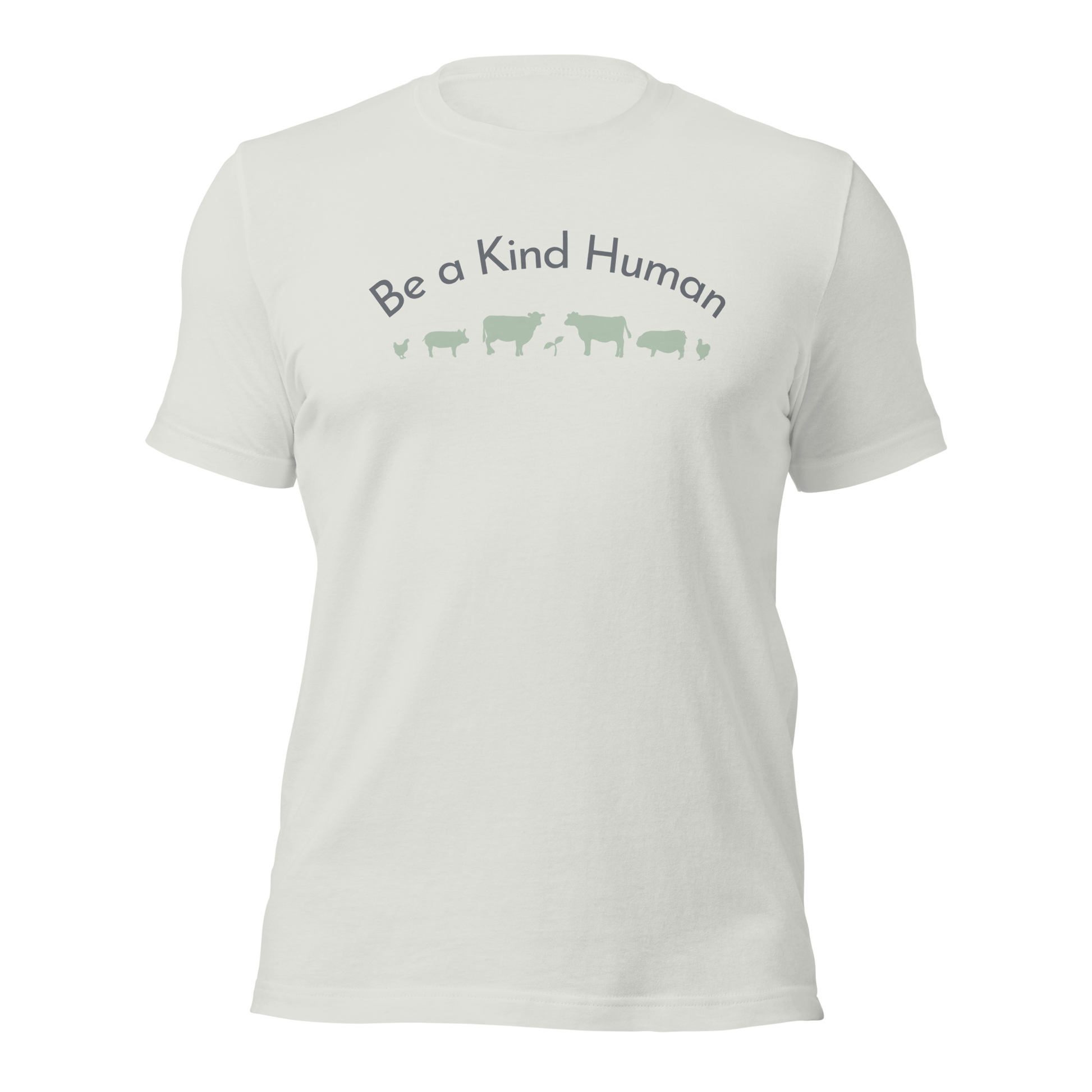 Be a Kind Human Silver w Green Silhouette